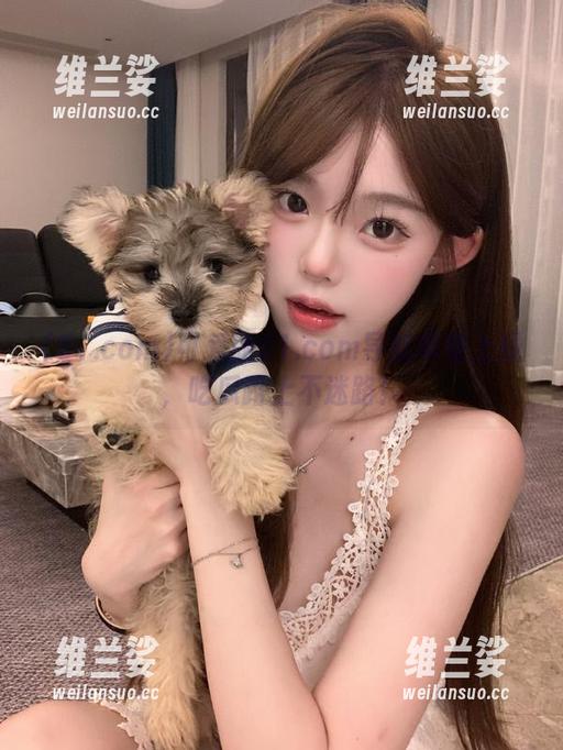 可爱版51.com导航苹果上线，吃瓜路上不迷路！
