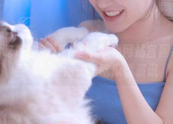 51吃瓜中心网站官网手把手教你如何快速吃瓜看资讯