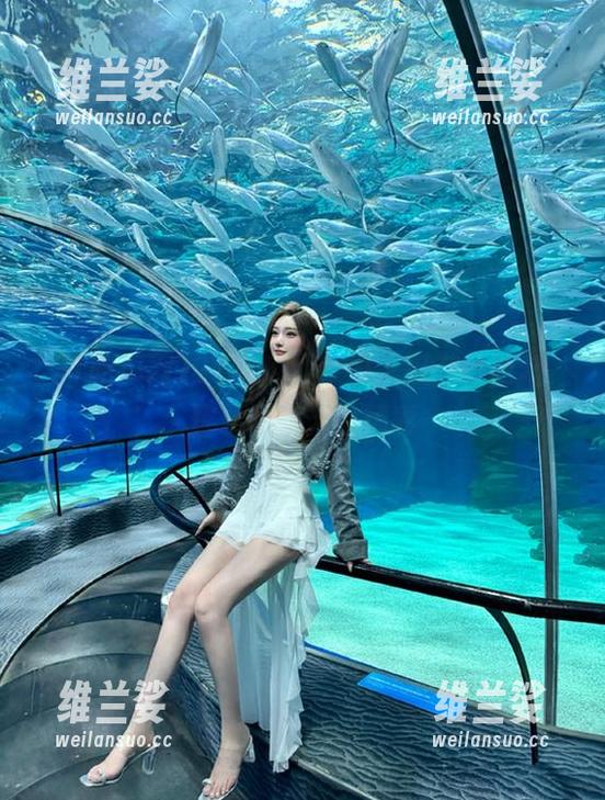 91吃瓜网今日大瓜在线更新，登录畅享无限精彩
