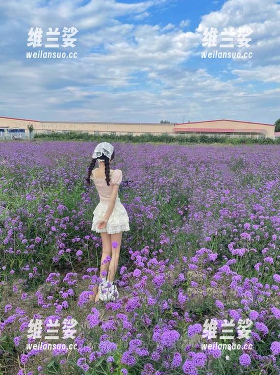 少女心炸裂！我爱五一吃瓜网精彩链接全集推荐