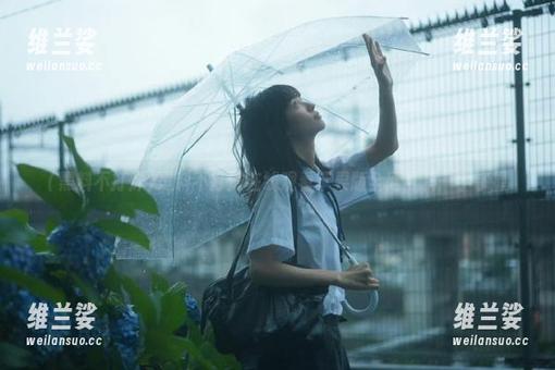 黑料不打烊在线观看苹果版全网黑料一手掌握
