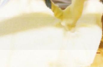 黑料不打烊最新地址直达，在线观看吃瓜全网最新黑料