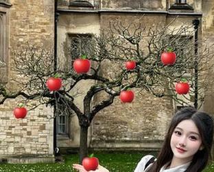 有没有想过通过“黑料不打烊”这个吃瓜app，了解2025年最新官宣的好玩黑料？