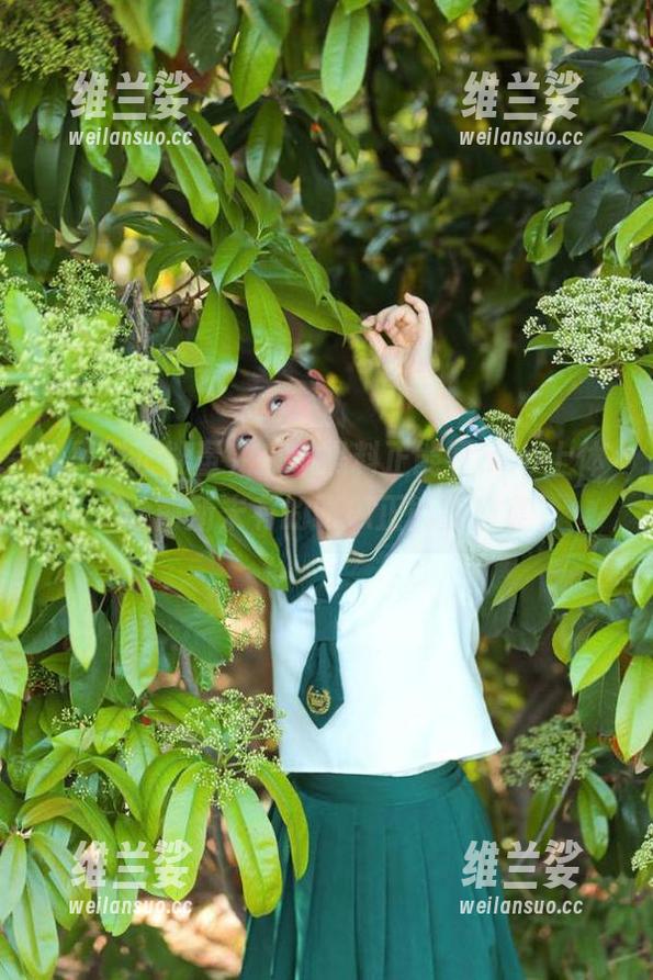 在91黑料正能量app上体验前所未有的吃瓜正能量盛宴