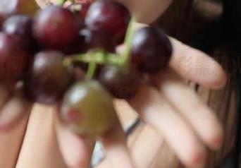 黑料网不打烊，精彩黑料火速更新值得收藏